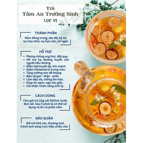 tra tam an 3