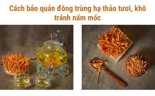 Cách bảo quản đông trùng hạ thảo tại nhà