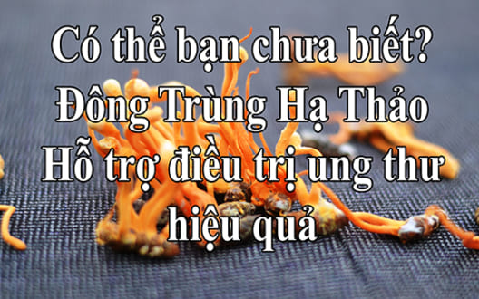 Tác dụng của đông trùng hạ thảo trong điều trị ung thư xương